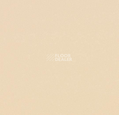 Линолеум Forbo Modul'up Compact Colour 4803UP43C vanilla stardust фото 1 | FLOORDEALER